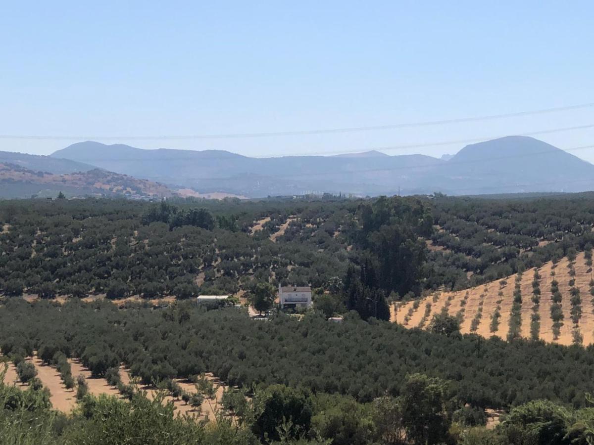 Cortijo Ribero Villa Cabra Eksteriør bilde